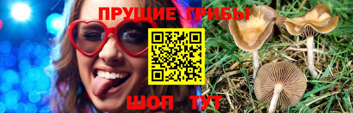 Набережные Челны  Галлюциногенные грибы MAGIC MUSHROOMS  как найти   Вход с VPN 